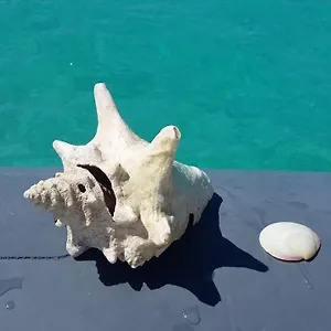 https://tenerife-with-impressive-pool-315.adeje-hotels.com